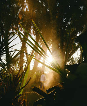 Why Spending Time Outdoors is Essential for Mind and Body