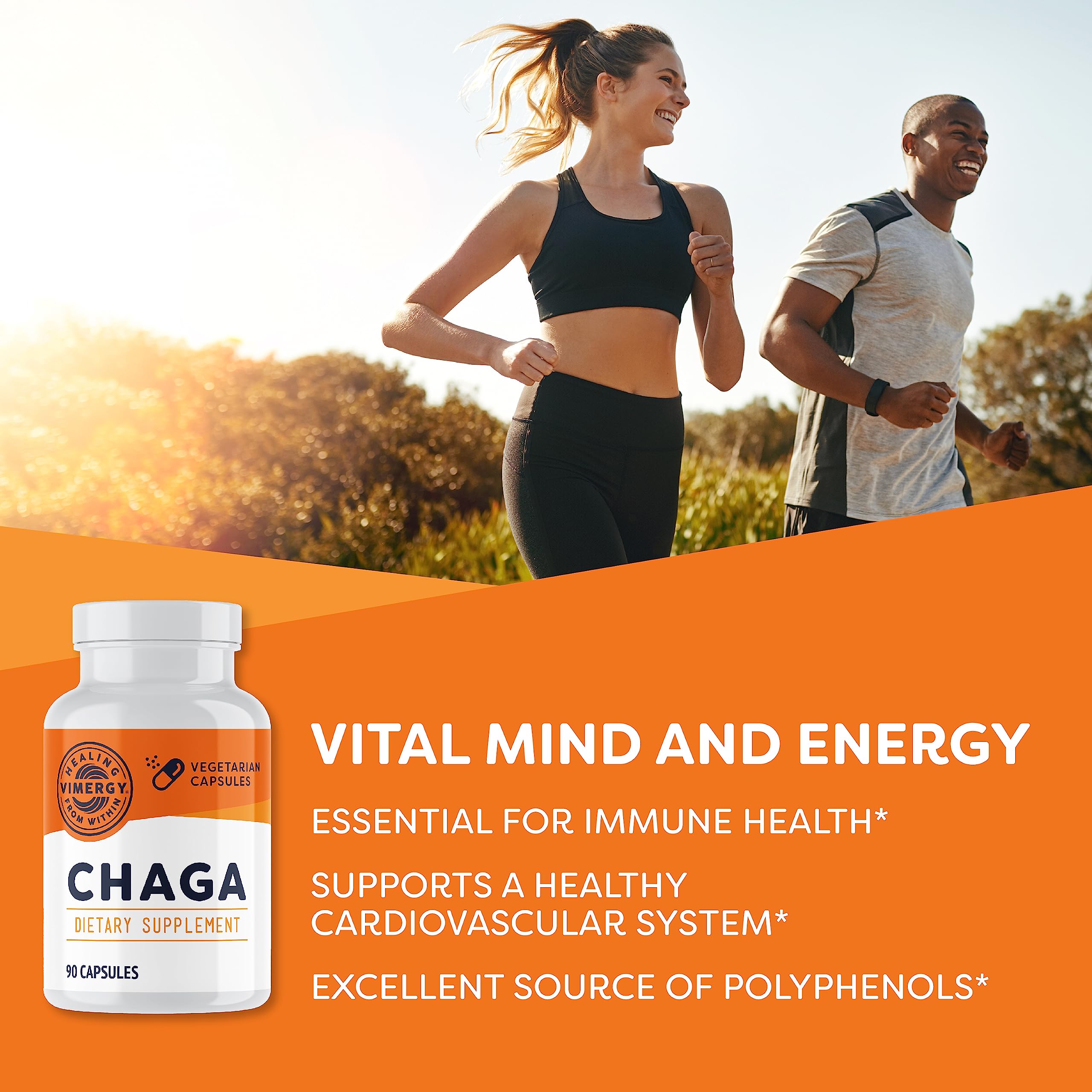 Vimergy Chaga Capsules