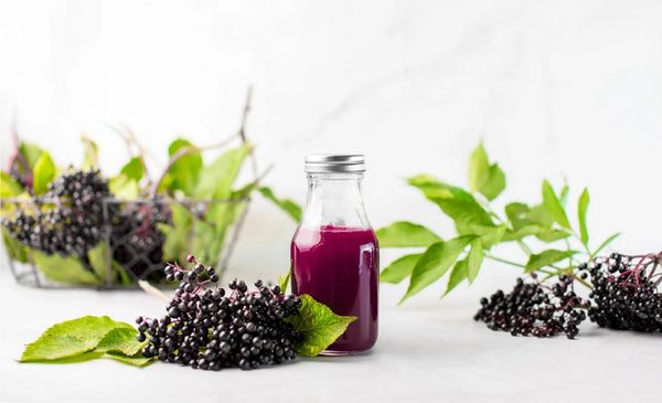 Organic Elderberry
