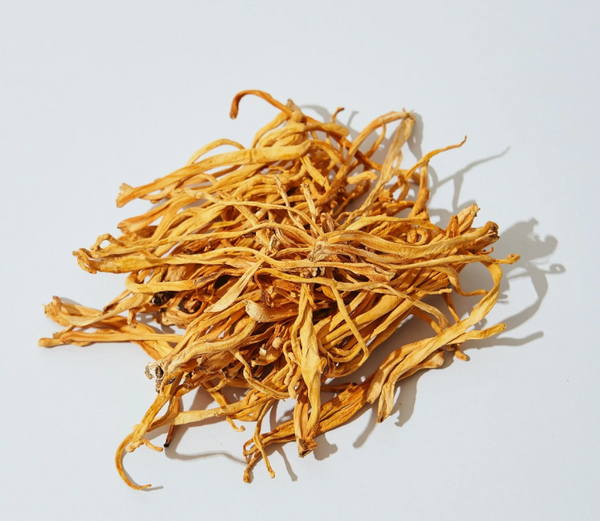 Cordyceps Mushroom